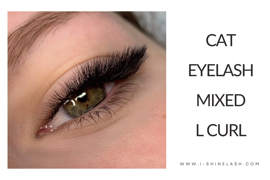 Cat eyelash sets using L curl lashes