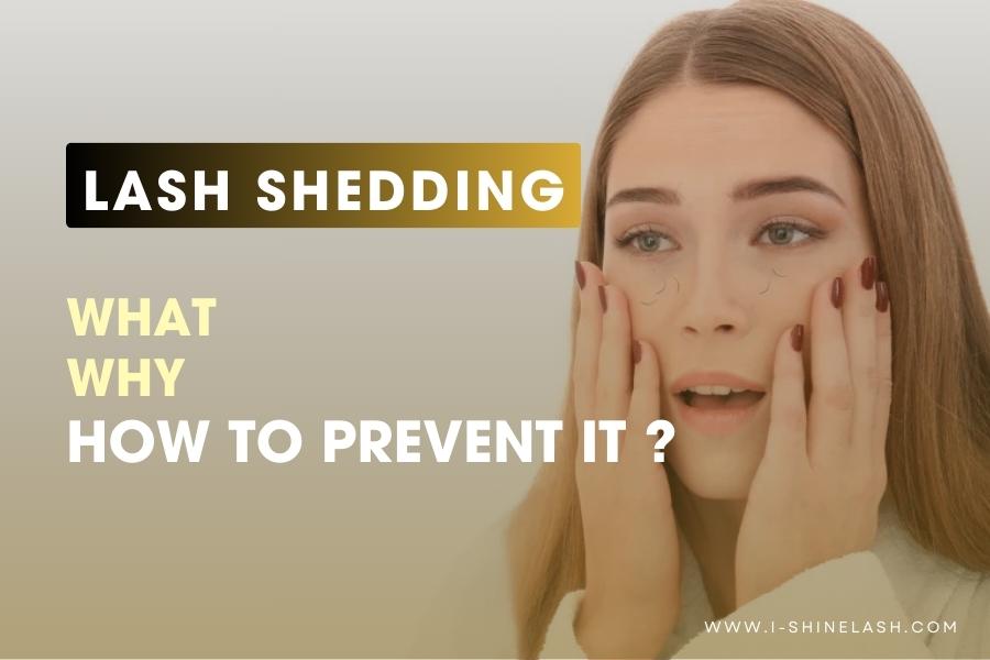 Lash Shedding What, Why and How to Prevent It?